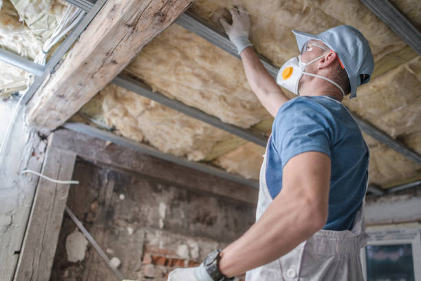 Best Spray Foam Insulation in Four Bridges, OH