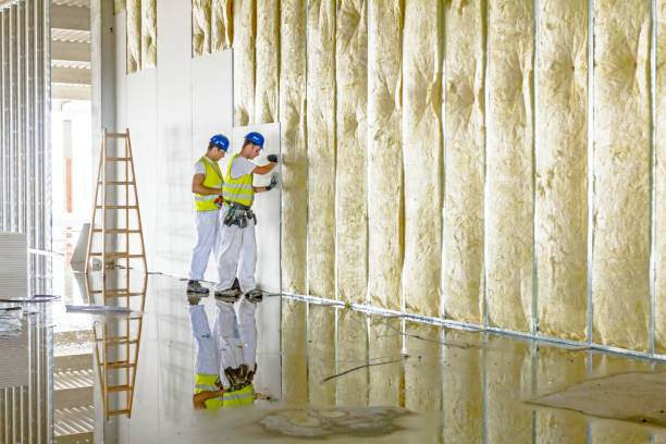 Best Eco-Friendly Insulation in Four Bridges, OH